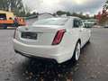 Cadillac CT6 Luxury AWD*1Hand*8Fach*ServiceNeu*TüvNEU* Weiß - thumbnail 4