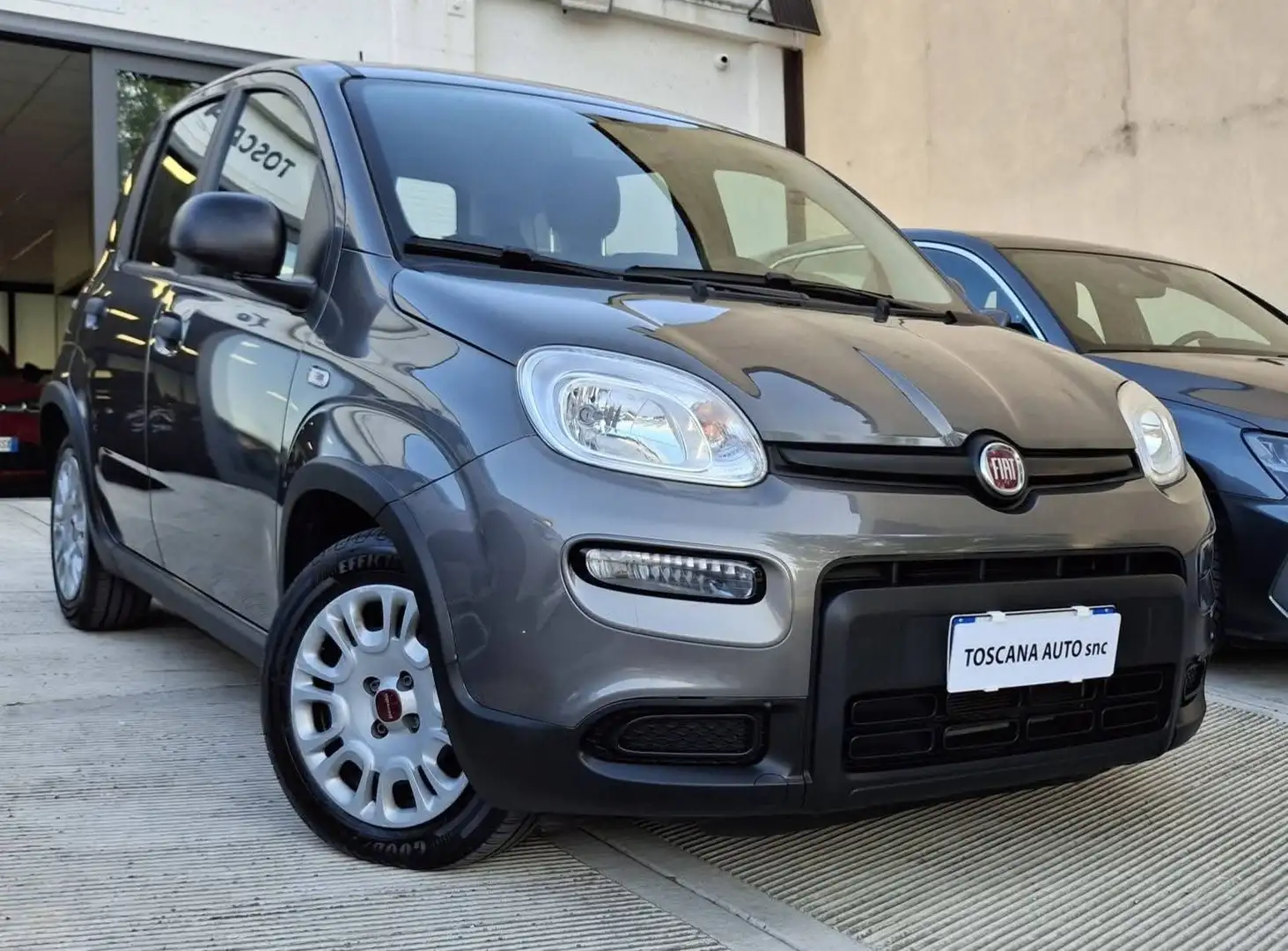 Fiat Panda City cross Grigio - 2