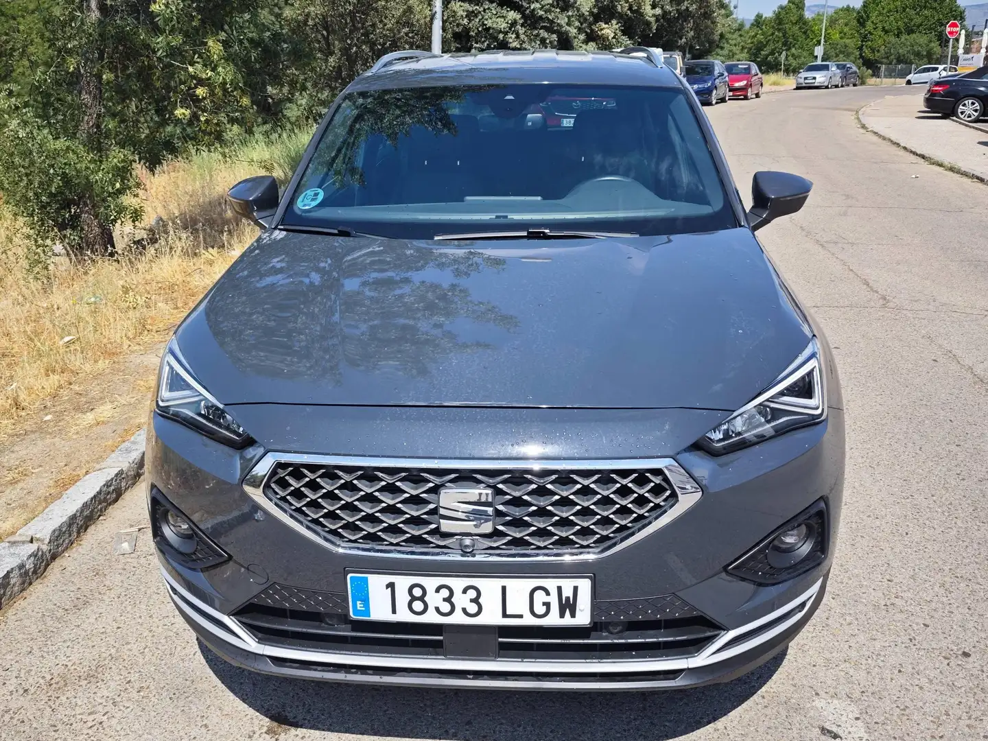 SEAT Tarraco Tarraco 1.5 TSI excellen Gris - 2