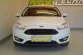 Ford Focus Turnier 1.5 TDCi "AHK*NAVI*SITZH*PDC*TEMP" Weiß - thumbnail 9