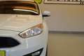 Ford Focus Turnier 1.5 TDCi "AHK*NAVI*SITZH*PDC*TEMP" Weiß - thumbnail 10