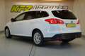 Ford Focus Turnier 1.5 TDCi "AHK*NAVI*SITZH*PDC*TEMP" Weiß - thumbnail 7