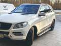 Mercedes-Benz ML 350 ML 350 BlueTEC 4MATIC Aut. DPF Weiß - thumbnail 2