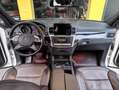 Mercedes-Benz ML 350 ML 350 BlueTEC 4MATIC Aut. DPF Weiß - thumbnail 11