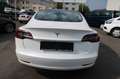 Tesla Model 3 Langstreckenbatterie - Allradantrieb Bílá - thumbnail 9