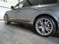 Audi Q7 50 TDI quattro 3xS-Line 7. Sitzer - AHK (44) Сірий - thumbnail 10
