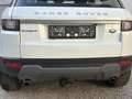 Land Rover Range Rover Evoque *Business-Paket*ERSTBESITZ*RÜCKFAHRKAMERA*ANHÄNGER Weiß - thumbnail 7