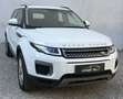 Land Rover Range Rover Evoque *Business-Paket*ERSTBESITZ*RÜCKFAHRKAMERA*ANHÄNGER Weiß - thumbnail 4