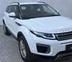 Land Rover Range Rover Evoque *Business-Paket*ERSTBESITZ*RÜCKFAHRKAMERA*ANHÄNGER Weiß - thumbnail 3