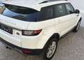 Land Rover Range Rover Evoque *Business-Paket*ERSTBESITZ*RÜCKFAHRKAMERA*ANHÄNGER Weiß - thumbnail 6