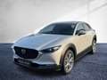 Mazda CX-30 G140 6MT 2WD EXCLUSIVE-LINE Matrix LED Navi Weiß - thumbnail 1