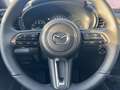 Mazda CX-30 G140 6MT 2WD EXCLUSIVE-LINE Matrix LED Navi Weiß - thumbnail 14