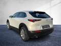 Mazda CX-30 G140 6MT 2WD EXCLUSIVE-LINE Matrix LED Navi Weiß - thumbnail 3