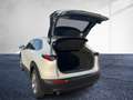 Mazda CX-30 G140 6MT 2WD EXCLUSIVE-LINE Matrix LED Navi Weiß - thumbnail 5