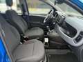 Fiat Panda 1.0 Mild Hybrid Pandina Klima Sondermodell Blau - thumbnail 12