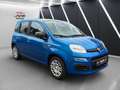 Fiat Panda 1.0 Mild Hybrid Pandina Klima Sondermodell Blau - thumbnail 4