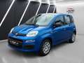 Fiat Panda 1.0 Mild Hybrid Pandina Klima Sondermodell Blau - thumbnail 2