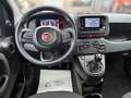 Fiat Panda 1.0 Mild Hybrid Pandina Klima Sondermodell Blau - thumbnail 8