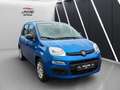 Fiat Panda 1.0 Mild Hybrid Pandina Klima Sondermodell Blau - thumbnail 3