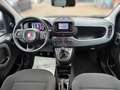 Fiat Panda 1.0 Mild Hybrid Pandina Klima Sondermodell Blau - thumbnail 7