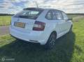 Skoda Rapid/Spaceback 1.4 TDI Greentech Drive AUTOMAAT AIRCO NAVI CRUISE Fehér - thumbnail 3