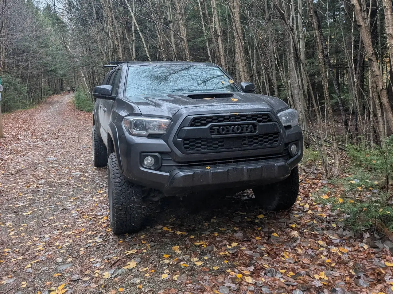 2023 Toyota Tacoma