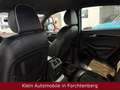 Audi Q5 3.0 TDI Aut. Exclusive Leder Navi Xenon 19"LM Grau - thumbnail 12