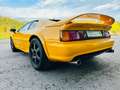 Lotus Esprit V8 - 918 žuta - thumbnail 5