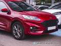 Ford Kuga 1.5 EcoB. Auto S&S ST-Line Limited Edition 4x2 120 Rot - thumbnail 5