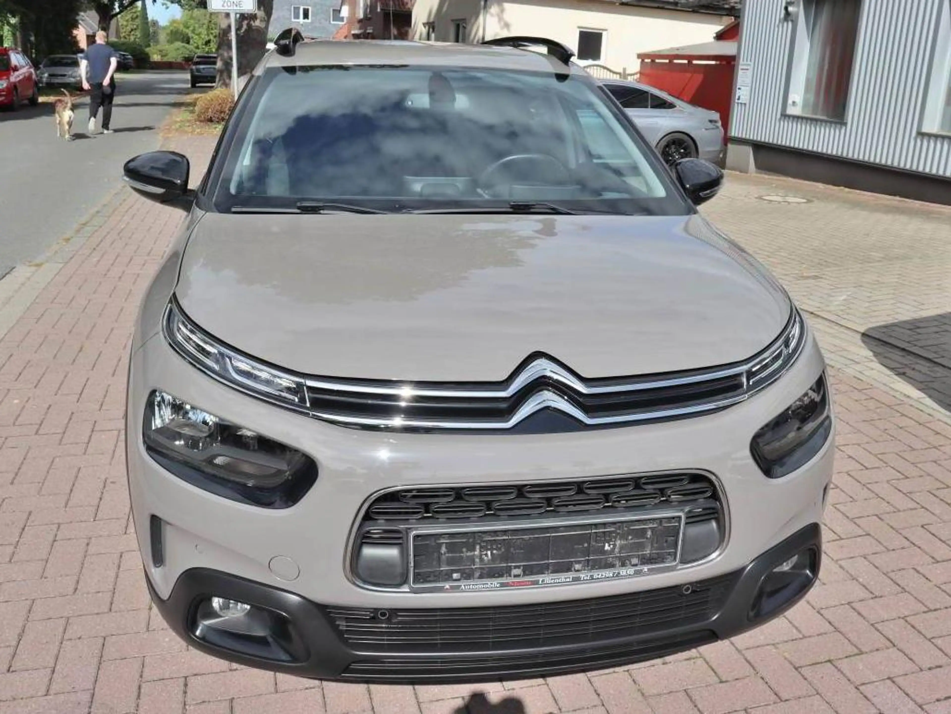 Citroen C4 Cactus Shine — photo 3