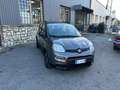 Fiat Panda Panda 1.0 FireFly S&S Hybrid City Life Grigio - thumbnail 2