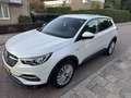 Opel Grandland X 1.2 Turbo Online Edition Alb - thumbnail 3