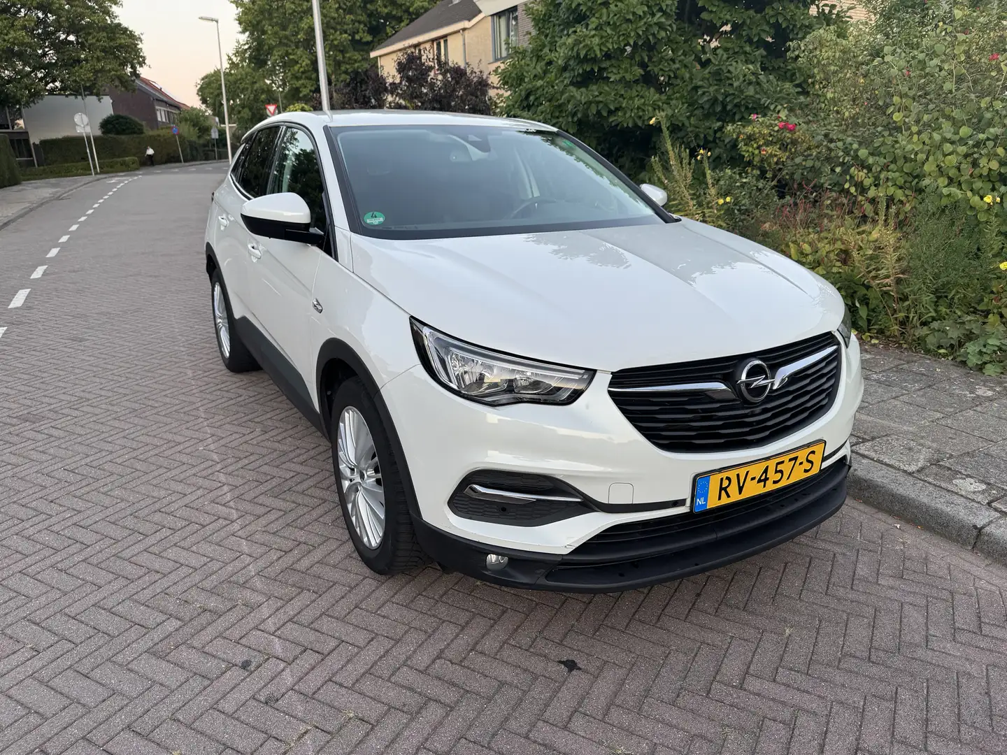 Opel Grandland X 1.2 Turbo Online Edition Alb - 1
