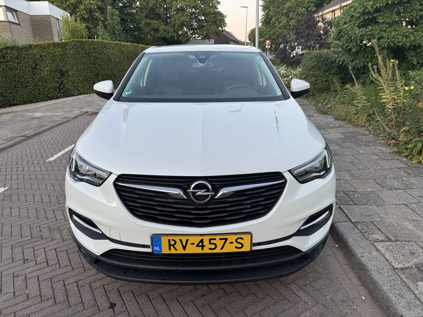 Opel Grandland X 1.2 Turbo Online Edition Alb - 2