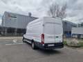 Ford Transit 300K Kombi Trennw. 4.54 2,0 TDCI Trennwand - thumbnail 2