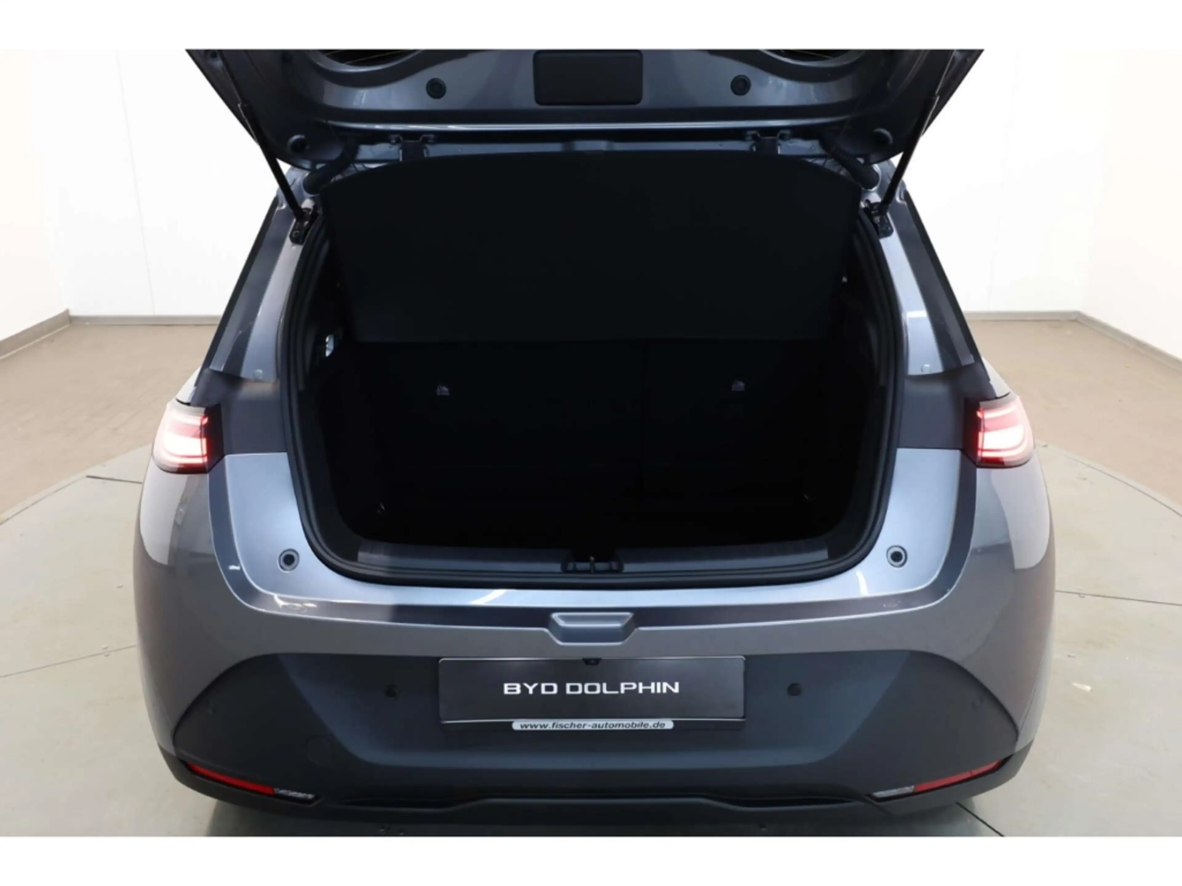 BYD Dolphin G DM-i Comfort — photo 12
