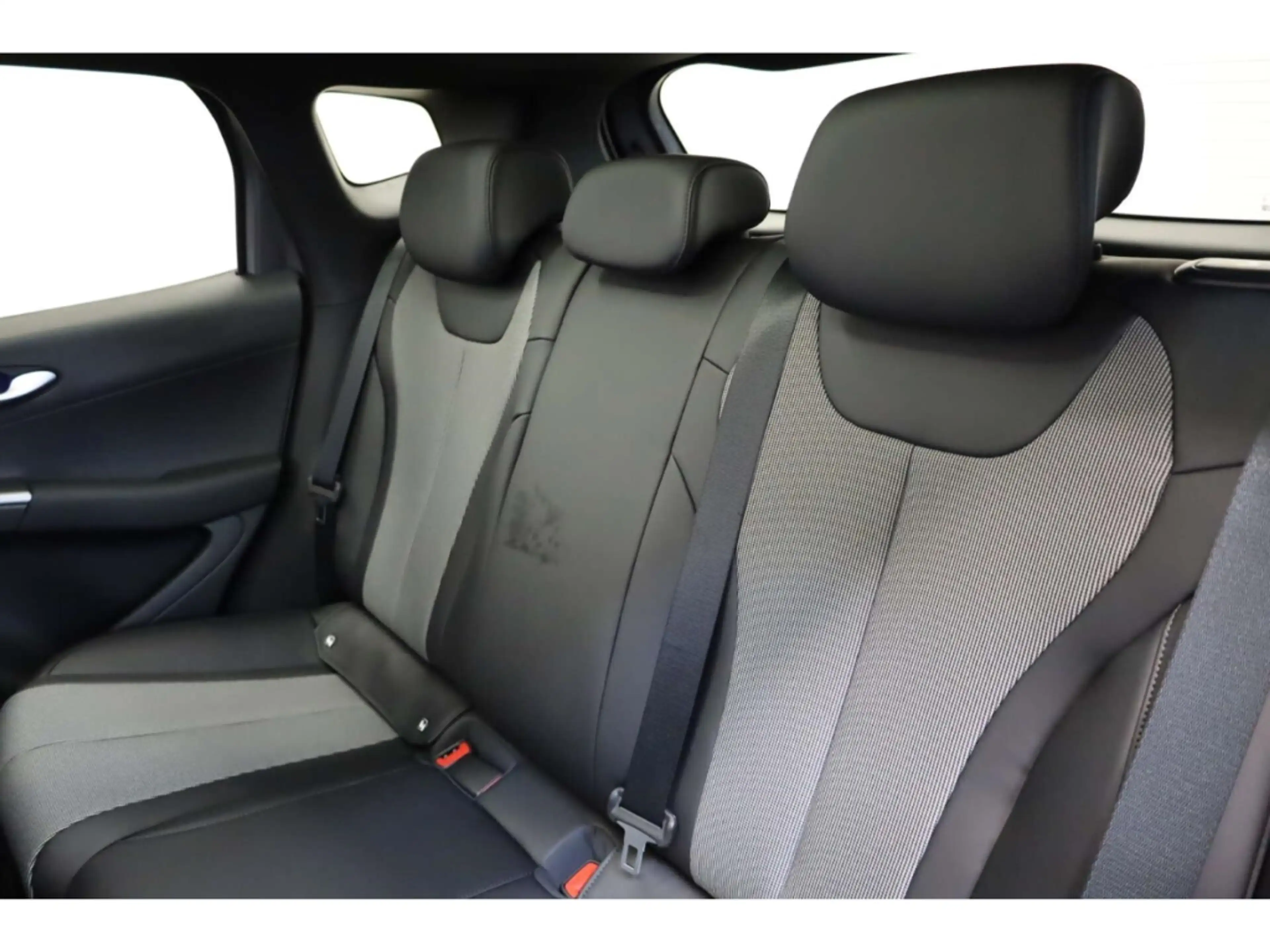 BYD Dolphin G DM-i Comfort — photo 11