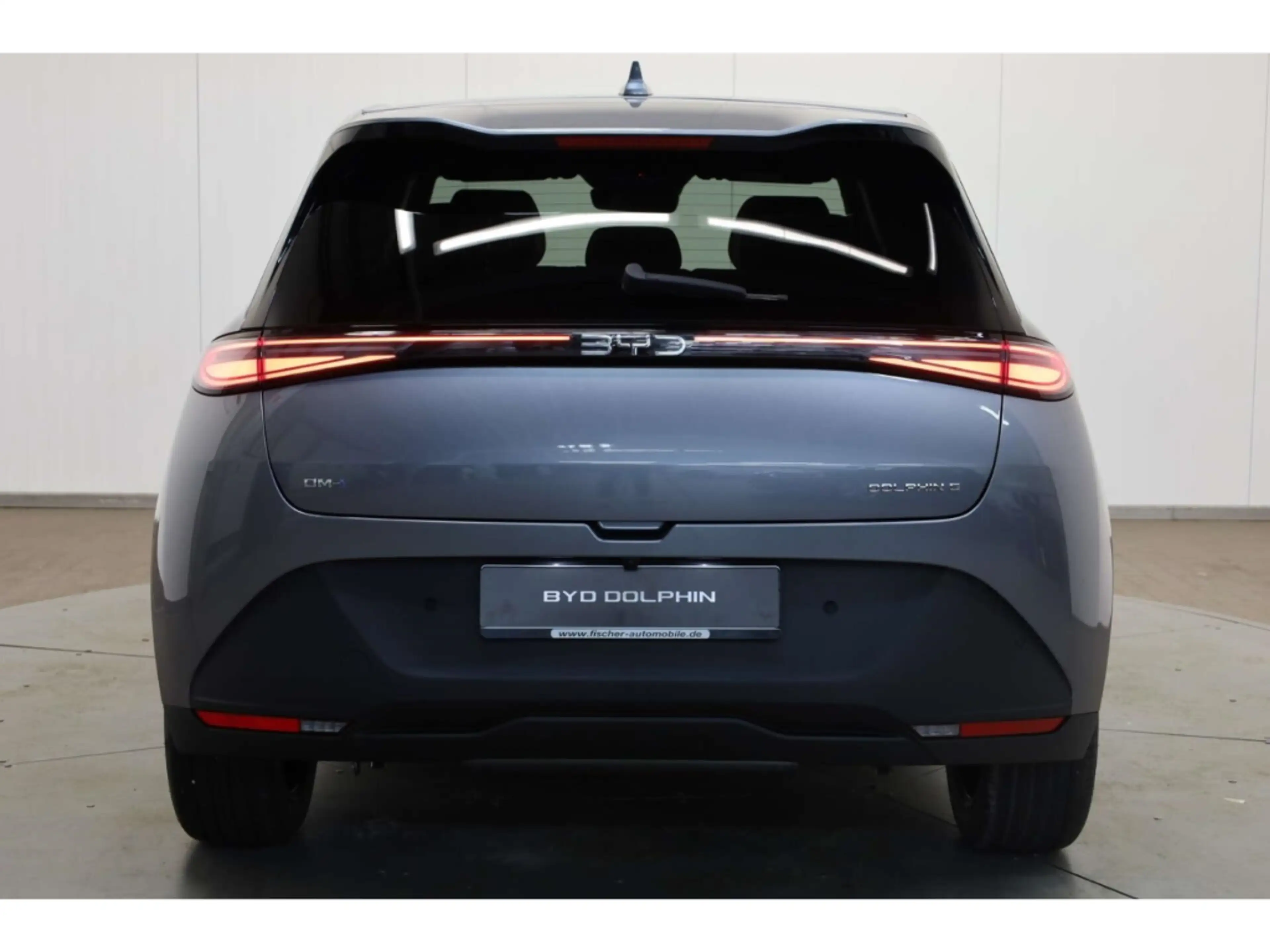 BYD Dolphin G DM-i Comfort — photo 6