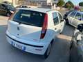 Fiat Punto - thumbnail 6