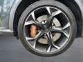 CUPRA Formentor VZ 2.0 TSI DSG 4D LED BREMBO PANORAMA Grau - thumbnail 12
