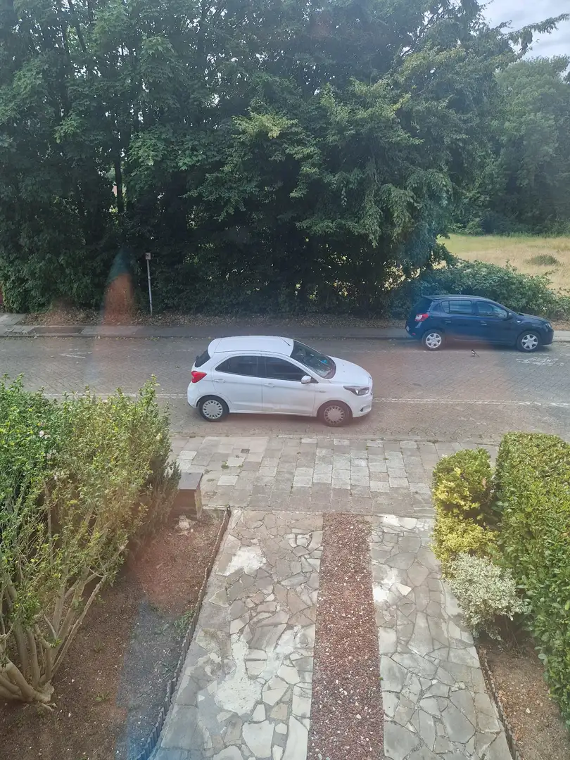 Ford Ka/Ka+ Ka+ 1.2i Essential Blanc - 1