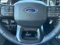 Ford F 150 F-150 Raptor Launch Edt. 4x4 360°+Glasdach Nero - thumbnail 13