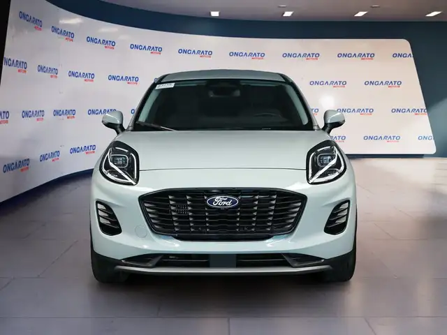 Ford Puma view 2
