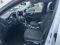 Ford Kuga Titanium Weiß - thumbnail 6