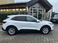 Ford Kuga Titanium Weiß - thumbnail 3