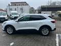 Ford Kuga Titanium Weiß - thumbnail 2