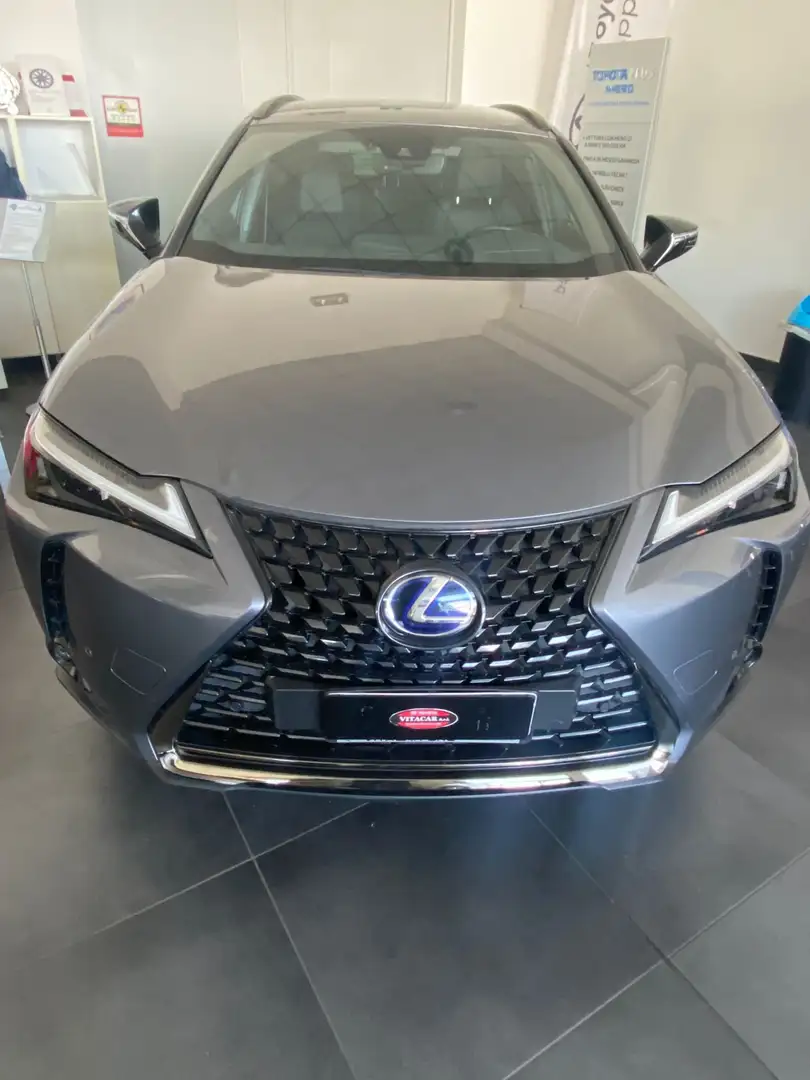 Lexus UX 200 UX 2019 250h 2.0 Midnight 2wd cvt Grey - 1