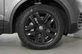 Volkswagen Touareg 3.0 TDI Tiptronic Style 230 CV Grigio - thumbnail 11