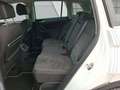 Volkswagen Tiguan 1.5 TSI Comfortline *AHK*LED*APP* Klima Weiß - thumbnail 11