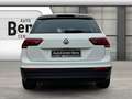 Volkswagen Tiguan 1.5 TSI Comfortline *AHK*LED*APP* Klima Weiß - thumbnail 4
